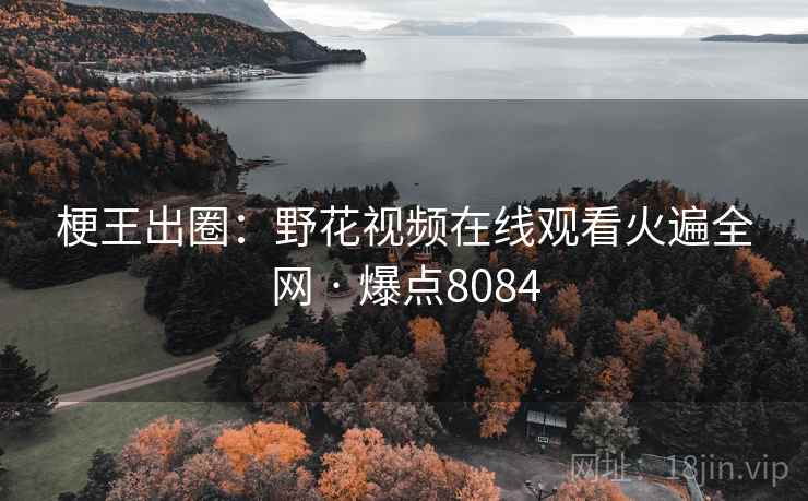梗王出圈:野花视频在线观看火遍全网 · 爆点8084