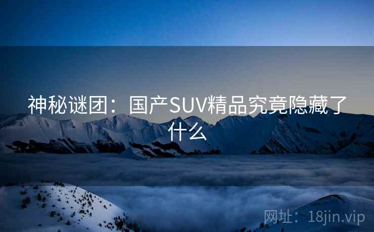 神秘谜团:国产SUV精品究竟隐藏了什么